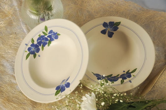 सदाबहार Pasta Plate