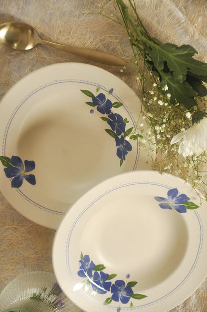 सदाबहार Pasta Plate
