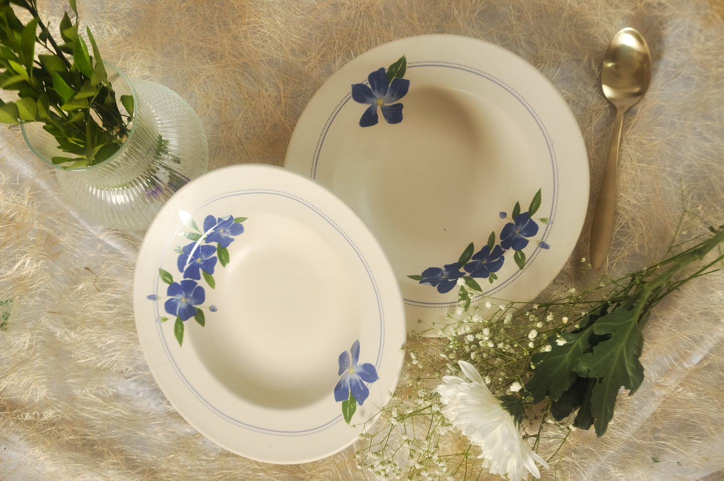 सदाबहार Pasta Plate