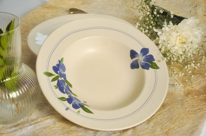 सदाबहार Pasta Plate