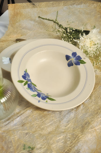 सदाबहार Pasta Plate