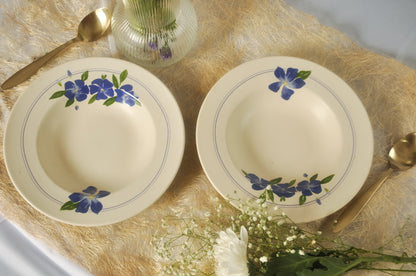 सदाबहार Pasta Plate